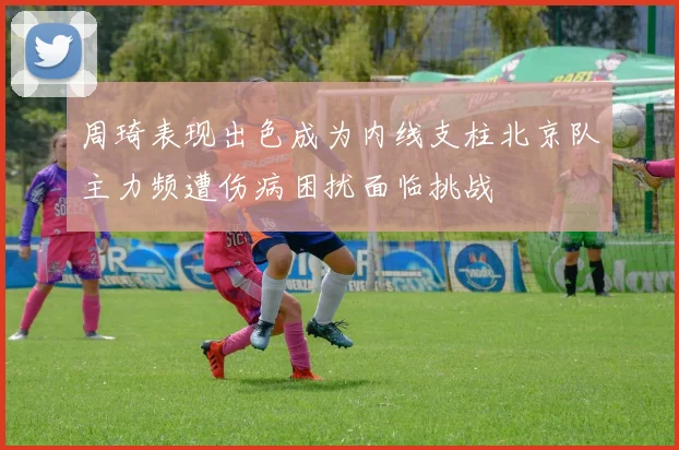周琦表现出色成为内线支柱北京队主力频遭伤病困扰面临挑战